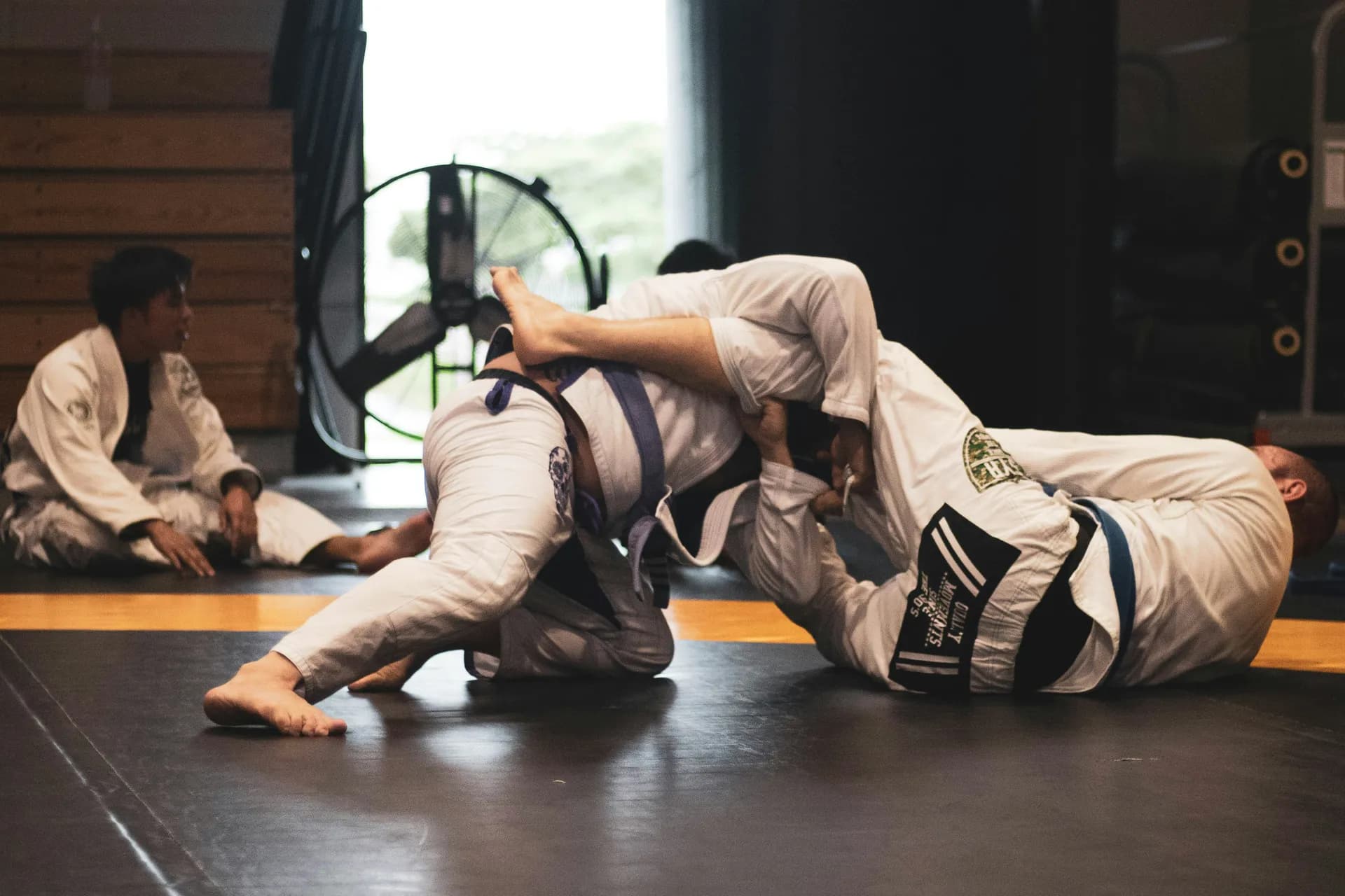 jiu-jitsu mat